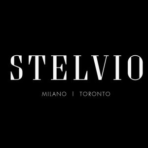 Logo Stelvio